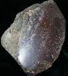 Large Agatized Dinosaur Bone Chunk (Polished) #6967-1